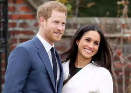 哈里梅根最新爆料  第3张